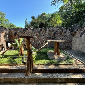 Orangutan Exhibit #3 - Sumatran