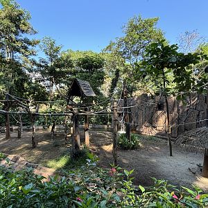 Silvery Gibbon Exhibit