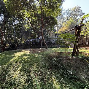 Malayan Tapir + Binturong Exhibits