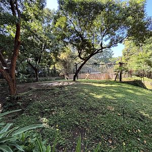 Malayan Tapir + Binturong Exhibits