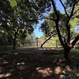 Malayan Tapir + Binturong Exhibits