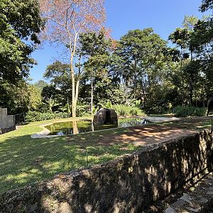 Asian Elephant Exhibit