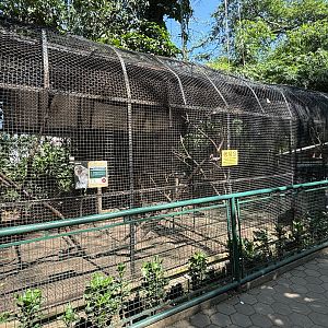 Macaque Exhibits (3 species)