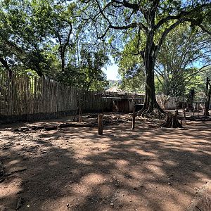 Sambar Deer Exhibit