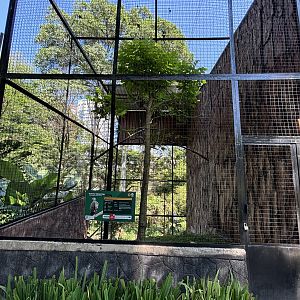 Changeable Hawk Eagle Aviary