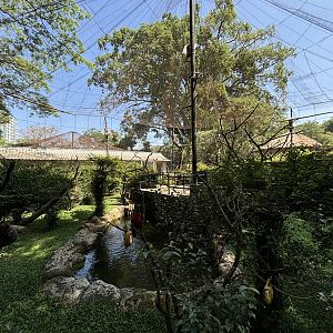 Walk-through Aviary