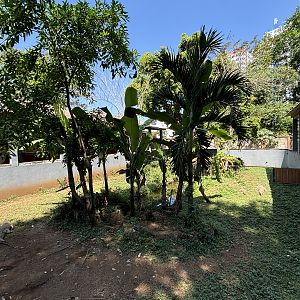 Saltwater Crocodile Exhibit