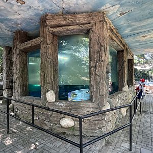 Alligator Gar + Florida Gar Exhibit