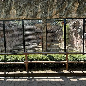 Tiger Exhibit #3 - Bengal