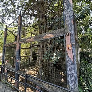 Javan Leopard Exhibit #2 - currently empty