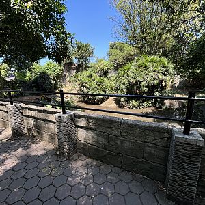 Saltwater Crocodile Exhibit