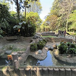 Assorted Turtle Exhibits