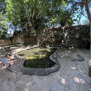False Gharial Exhibit