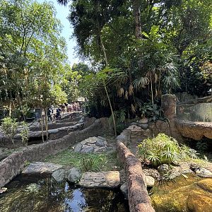 Assorted Turtle Exhibits