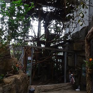 Exotenhaus: Sloth/agouti/callimico/parakeet aviary