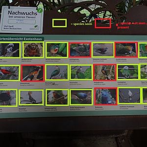 Exotenhaus : Free-roamer signage