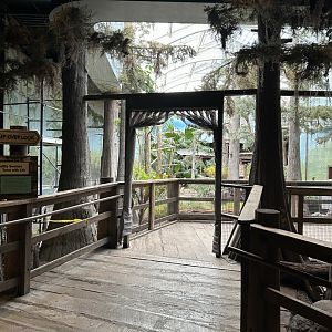 The Swamp- Aviary