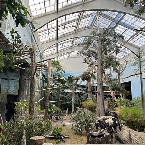 The Swamp- Aviary