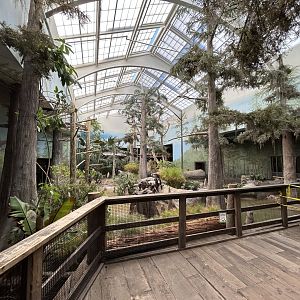 The Swamp- Aviary
