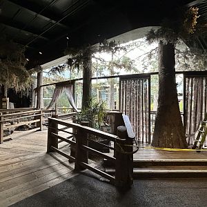 The Swamp- Aviary