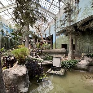 The Swamp- Aviary