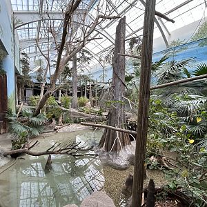 The Swamp- Aviary