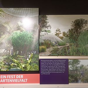 Masterplan - Wall of photos and informations