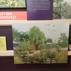 Masterplan - Wall of photos and informations