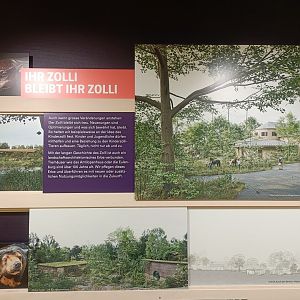 Masterplan - Wall of photos and informations