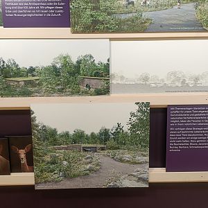 Masterplan - Wall of photos and informations