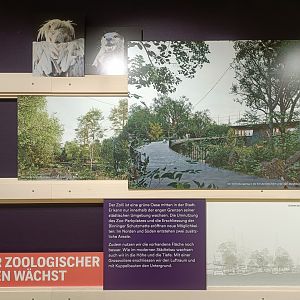 Masterplan - Wall of photos and informations