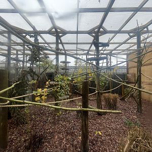 Mongoose Lemur Outdoor Enclosure