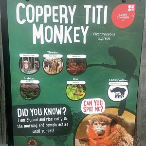 Red Titi Monkey Signage