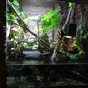 Exotenhaus: Snake-necked turtle enclosure
