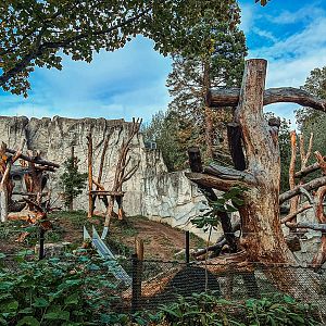 Spectacled bear habitat