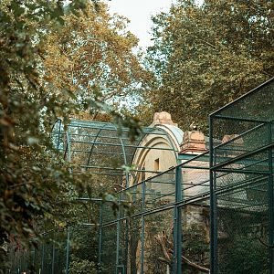 Birds of prey aviary