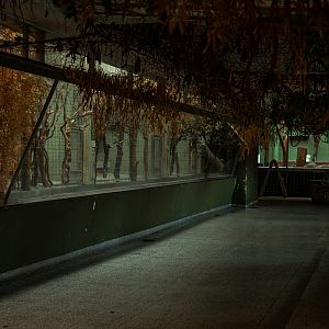 Monkey house indoor area