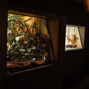 Terrariums in the monkey house