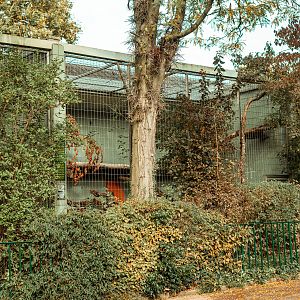 Monkey house outdoor cages