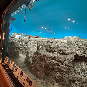 Old penguin enclosure