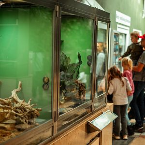 Exotarium upper floor