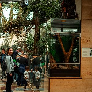 Exotarium upper floor