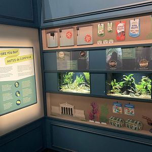 Pet Store Themed Area 2