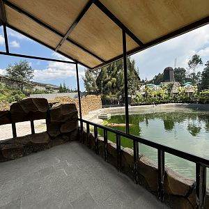 Common Hippo Exhibit - New in 2024