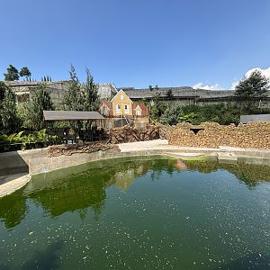 Common Hippo Exhibit - New in 2024