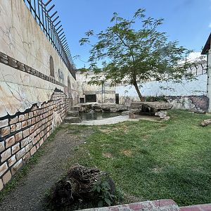 Tiger Exhibit #1 - White Tiger