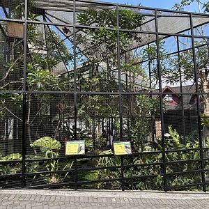 Two Genuine Rarities!