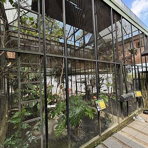 Two Aviaries - Greater + Lesser Birds of Paradise
