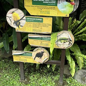 “Southeast Asian” Aviary Sign