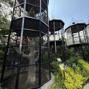 Assorted Aviaries